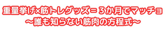 重量挙げ×筋トレグッズ＝３か月でマッチョ～誰も知らない筋肉の方程式～